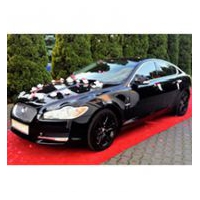 Auto do ślubu Warszawa Jaguar XF