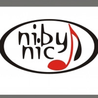 Zespół Muzyczny Sidzina Niby Nic